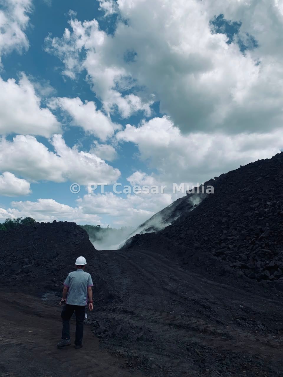 Pengawasan Kualitas Stockpile oleh Tim Teknis